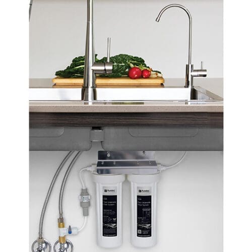 Puretec TS100 High Loop Designer Faucet With Dual Filter System