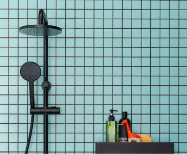 Homepage Combination Shower Head