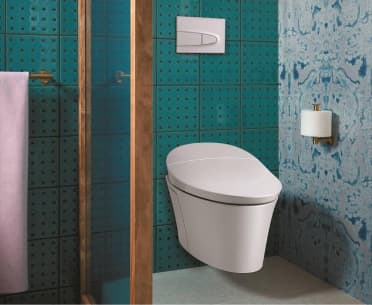 Homepage Insert Toilet